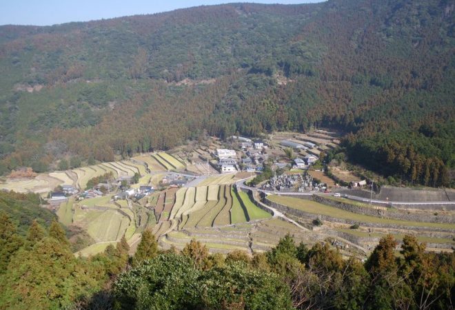 長崎の農業・田畑